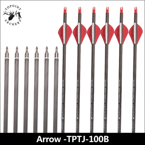 Carbon Arrow,Arrows